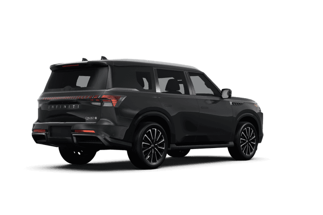 Infiniti QX80 - Back view Infiniti QX80 - Back view